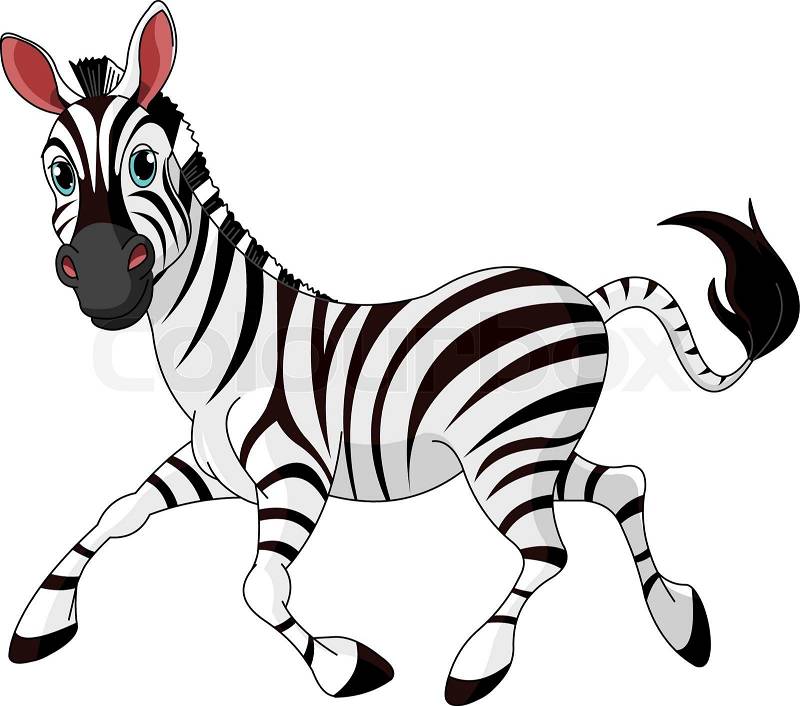 cute zebra clipart free - photo #34