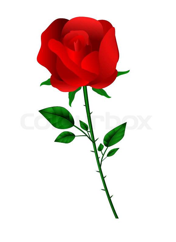 clipart rote rose - photo #2
