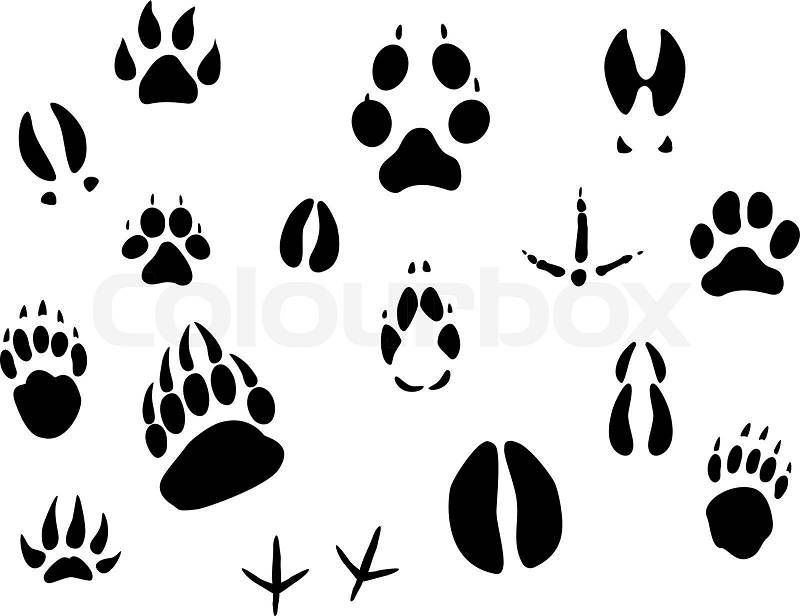 free clipart animal footprints - photo #23