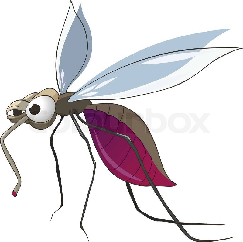 clipart mosquito cartoon - photo #44