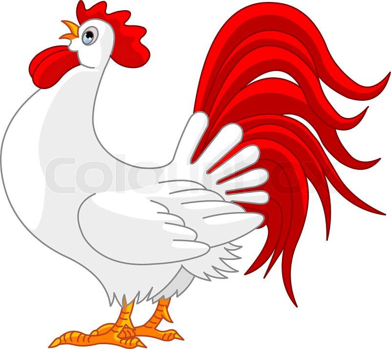 rooster animation clipart - photo #40