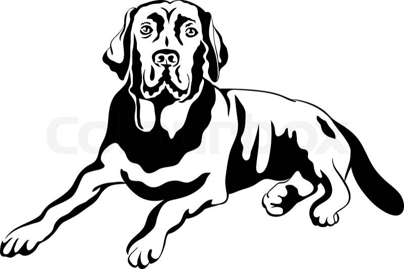 free clip art black lab dog - photo #41