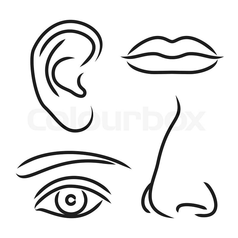 free clip art eyes and ears - photo #10